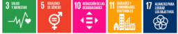 ODS 3, 5, 10, 11 y 17