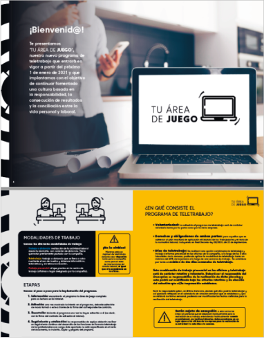 Programa de teletrabajo